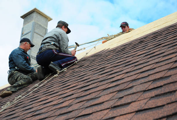Roof Gutter Cleaning in Twin Lakes, WI